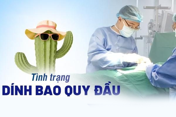 Tình trạng dính bao quy đầu ở nam giới