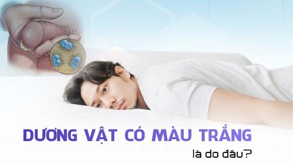 Dương vật có màu trắng là do đâu?