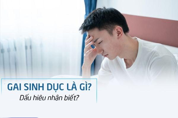 Gai sinh dục là gì? Dấu hiệu nhận biết & cách điều trị gai sinh dục