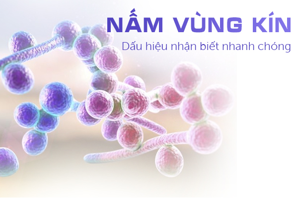 Bệnh nấm vùng kín – Dấu hiệu nhận biết nhanh chóng