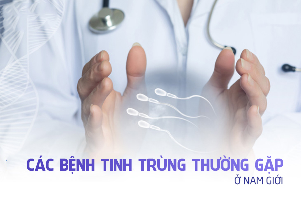 Các bệnh tinh trùng thường gặp ở nam giới