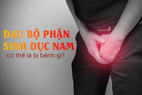 Đau bộ phận sinh dục có thể là bị bệnh gì?