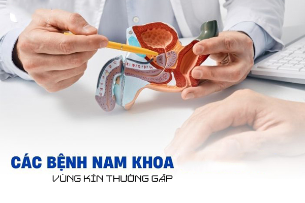 Điểm danh các bệnh nam khoa vùng kín thường gặp