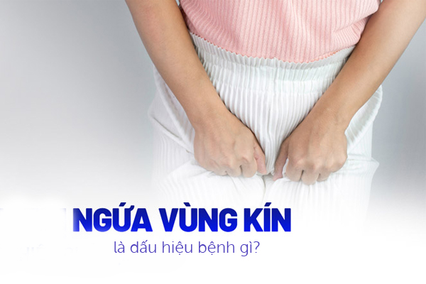 Ngứa vùng kín là dấu hiệu bệnh gì?