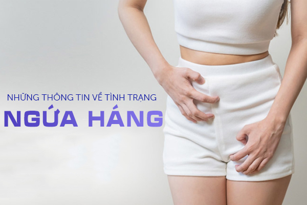 Những thông tin về tình trạng ngứa háng