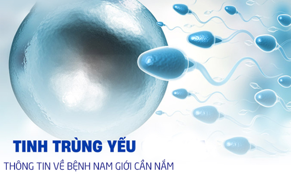 Thông tin về bệnh tinh trùng yếu ở nam giới cần nắm