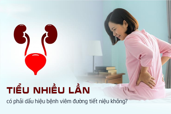 Tiểu nhiều lần là dấu hiệu bệnh viêm đường tiết niệu?
