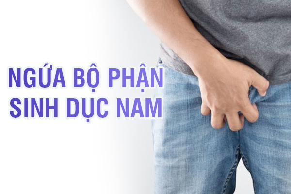 Tìm hiểu về tình trạng ngứa bộ phận sinh dục nam