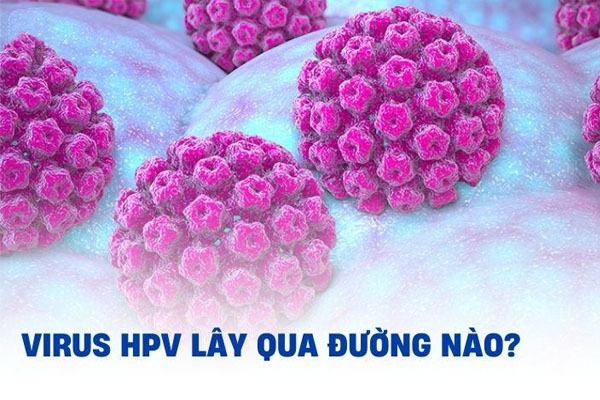 Virus HPV lây qua đường nào?