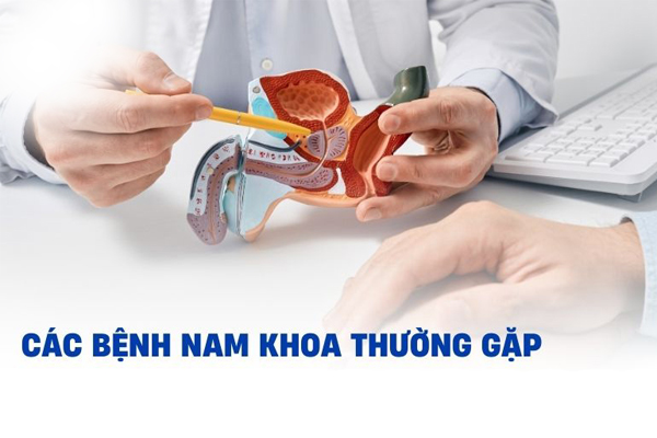 Tìm hiểu về các bệnh nam khoa thường gặp