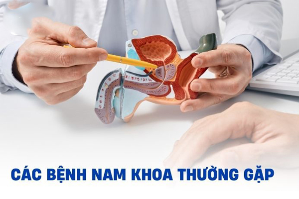 Các bệnh ở nam giới thường gặp